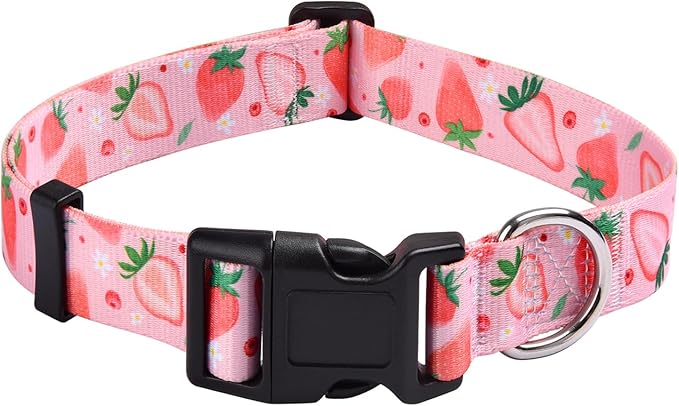 Mihqy Dog Collar for Medium Dogs, Fashion Design, Strawberry,M | Neck Fit 12.9"-21.6", Multiple Patterns，4 Sizes for Small Medium Large Dogs, Comfortable for Walks and Outdoor Hikes by Mihqy
