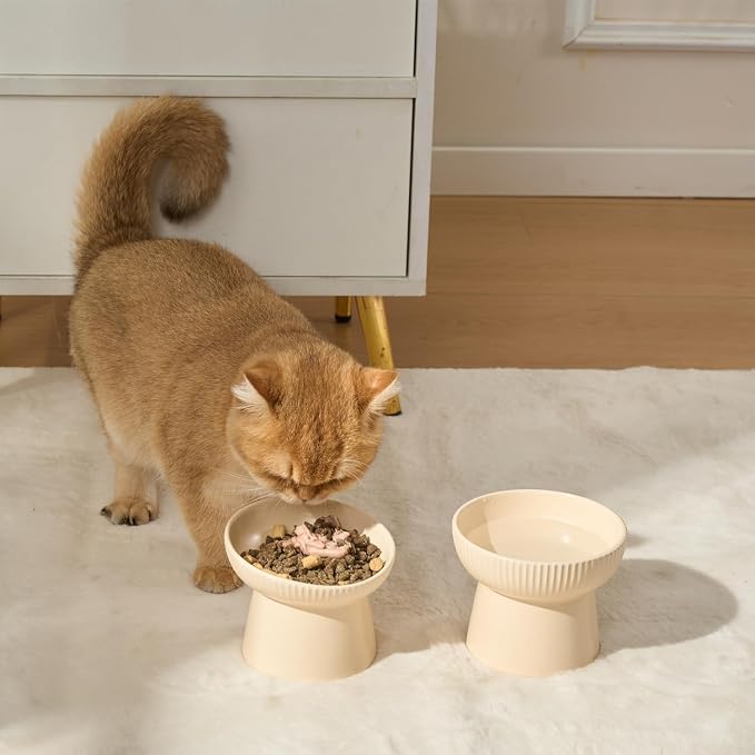 Ceramic Elevated Cat Bowls-Water Bowl, 15° Tilted Design, Anti-Vomiting & Spine Protection, Prevent Whisker Fatigue for Kittens to Adult Cats and Small Dogs (White-15° Cat Bowls-2) - Image 7