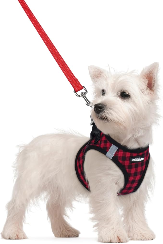 rabbitgoo Dog Harness Small Sized and Leash Set, Step-in Puppy Pet Vest | Light, Soft, Breathable Air Mesh, Easy on and Remove with Hook & Loop, Secure Reflective for Walking, Red Check S by rabbitgoo