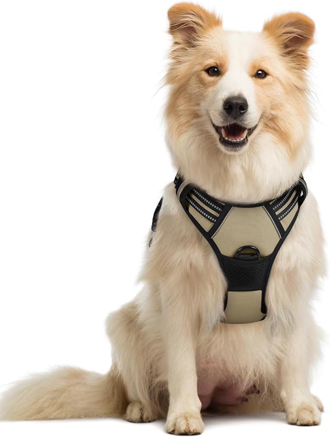 rabbitgoo Dog Harness, No Pull Medium Sized with 2 Leash Clips, Pet Vest | No Choke with Handle, Adjustable Soft Padded, Reflective, Easy Control for Walking, Beige, Medium by rabbitgoo