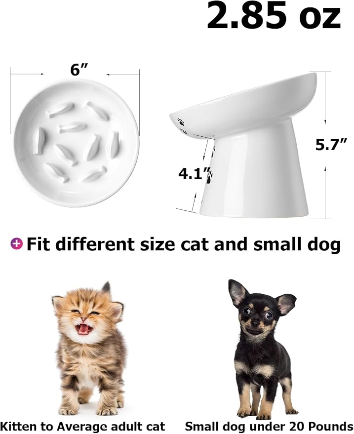 Y YHY Slow Feeder Cat Bowl, Ceramic Cat Slow Feeder Bowl, 6 Inches, Elevated, Anti Vomiting for Dry and Wet Food, White - Image 2