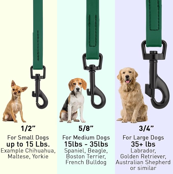 Dogline Biothane Waterproof Dog Leash Strong Coated Nylon Webbing with Black Hardware Odor-Proof Easy to Clean High Performance for Small or Large Dogs Made in USA 4 or 6 ft Lead, Hunter Green - Image 3