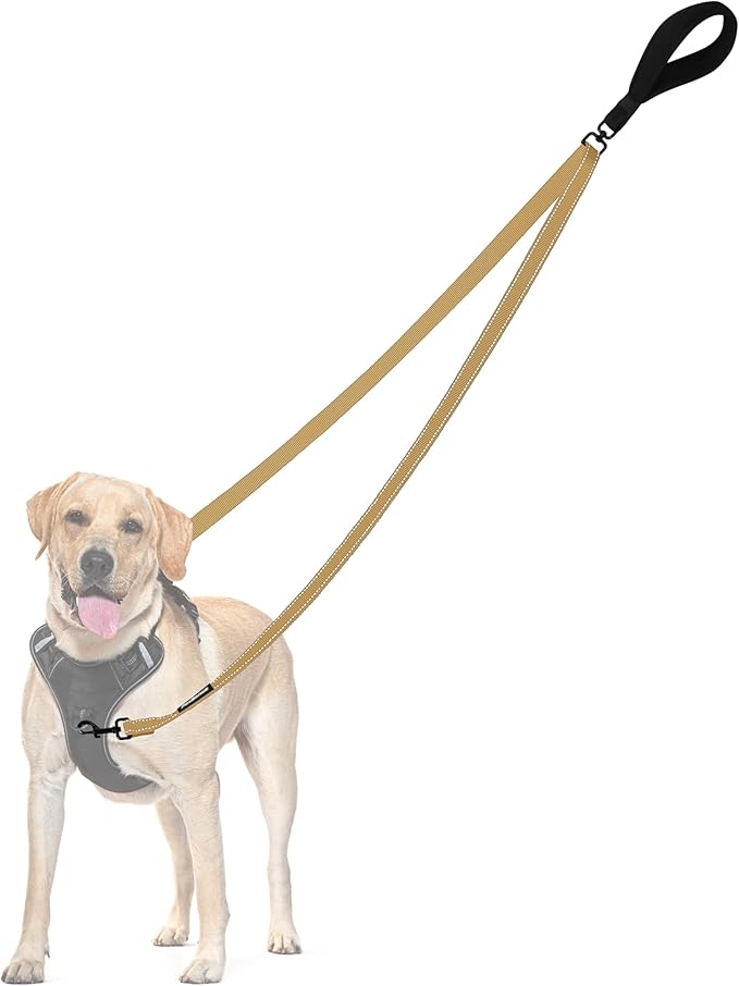 PetBonus Two Point Control Dog Leash, No Tangle Training Walking Leashes | Soft Padded Handle, Reflective, Works with No Pull Harnesses, Converts to Single Lead for Medium Large Dogs, Khaki by Petbonus