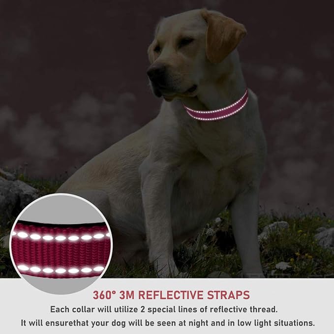 Reflective Dog Collar with Buckle Adjustable Safety Nylon Collars for Small Medium Large Dogs, Pink S | Comfortable & Breathable, No Chafing on Walks and Outdoor Hikes, Metal D-Ring, Night Safety - Image 4