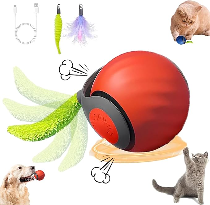 Speedy 2.0 Tail Cat Toys for Bored Indoor Adult Cats,2025 New Generation Interactive Cat Toys for Indoor Cats,Automatic Moving Ball with Tail,Cat, Orange by Unknown