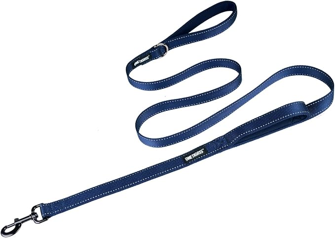 OneTigris No-Pull Dog Leash with Handle for Medium Large Dogs (Blue, 6FT) | Durable lead built for training & daily walks. Ideal drag line for strong pullers and large breeds like bully dogs. by OneTigris