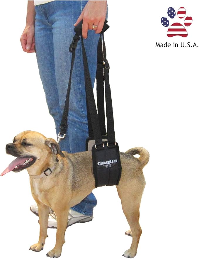 Dog Rear Sling Support Harness, SM Female, Machine Wash & Dry | Fits Small to Medium Size Dogs or Larger Barrel-Chested Breeds like Boxers, Bullies. Padded, Integrated Leash. Made in U.S.A. - Image 7