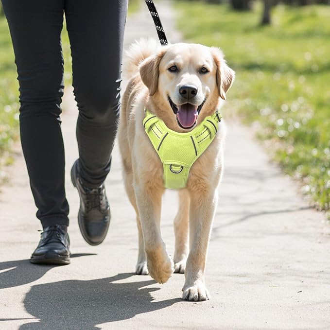 BARKBAY No Pull Dog Harness Large Reflective Dog Harness with Front Clip and Easy Control Handle for Walking Training Running with ID tag Pocket(Sunlight,M) - Image 9