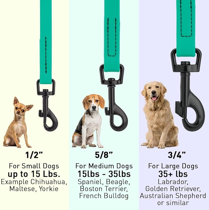 Dogline Biothane Waterproof Dog Leash Strong Coated Nylon Webbing with Black Hardware Odor-Proof Easy to Clean High Performance for Small or Large Dogs Made in USA 4 or 6 ft Lead, Teal - Image 3