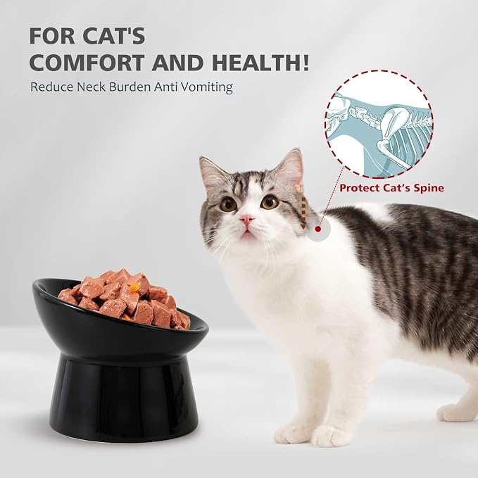 Raised Ceramic Cat Food Bowls – Tilted Elevated Anti-Vomit Cat Bowl – Whisker-Friendly Wide Shallow Feeding Dish – for Dry & Wet Food – Microwave & Dishwasher Safe - Image 3