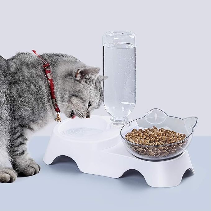 MILIFUN Double Dog Cat Bowls - Pets Water and Food Bowl Set, 15°Tilted Water and Food Bowl Set with Automatic Waterer Bottle for Small or Medium Size Dogs Cats - Image 8