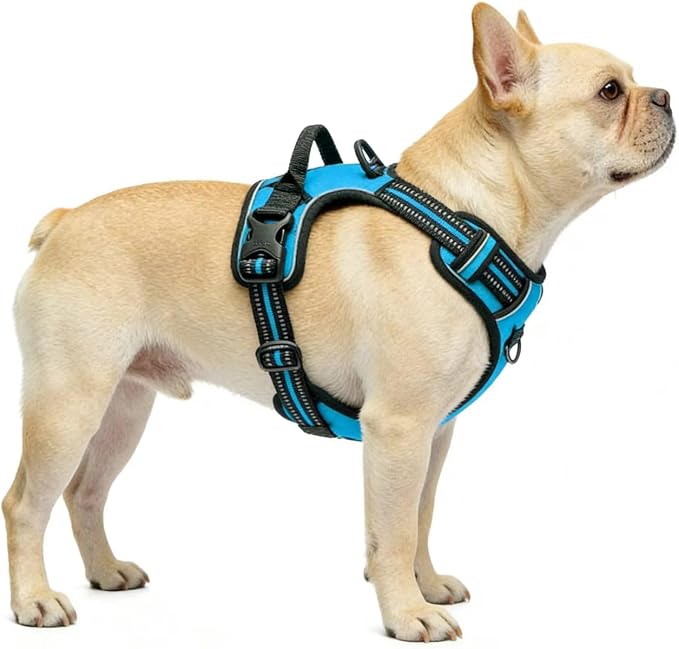 Blue No-Pull Dog Harness with 2 Leash Clips，Soft Padded Vest for Large Dog, Adjustable Reflective Dog Vest Easy to Put on and Take Off, (Neck: 17"~24", Chest: 24"~32",Blue L) - Image 4
