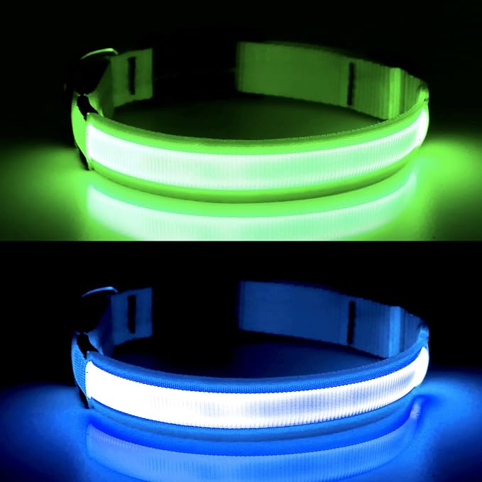 LED Dog Collar, Dog Light Up Collar,for Night Walking (Blue, X-Large) | Full Adjustable,Waterproof,Nylon,Soft,Super Bright Light Collars for Small Medium and Large Dogs,USB C to Charge - Image 2