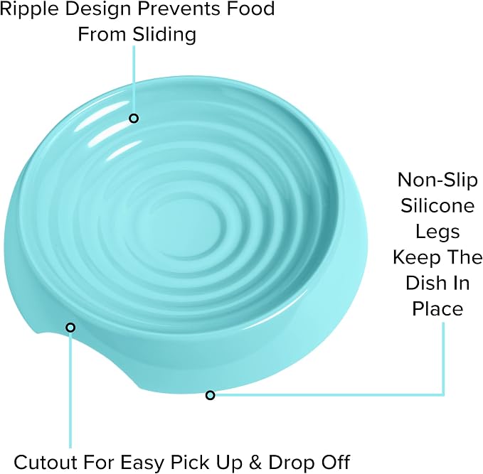 CatGuru Cat Bowls, Whisker Friendly Food Bowl for Indoor Cats, Reliefs Whisker Fatigue, Wide Kitten Dish, Non Slip Pet Dishes, Shallow Pet Plates (Aruba, (Pack of 2)) - Image 4