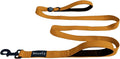 ShawnCo Dream Walk Dog Leash (Sunset Orange,M/L 6FT w/ 2 Handles) | Soft Neoprene Handle, Premium, Durable, Nylon Pet Leash for Small, Medium and Large Dogs, For Everyday Walks and Training by SHAWNCO