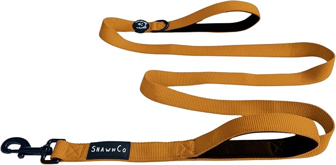 ShawnCo Dream Walk Dog Leash (Sunset Orange,M/L 6FT w/ 2 Handles) | Soft Neoprene Handle, Premium, Durable, Nylon Pet Leash for Small, Medium and Large Dogs, For Everyday Walks and Training by SHAWNCO