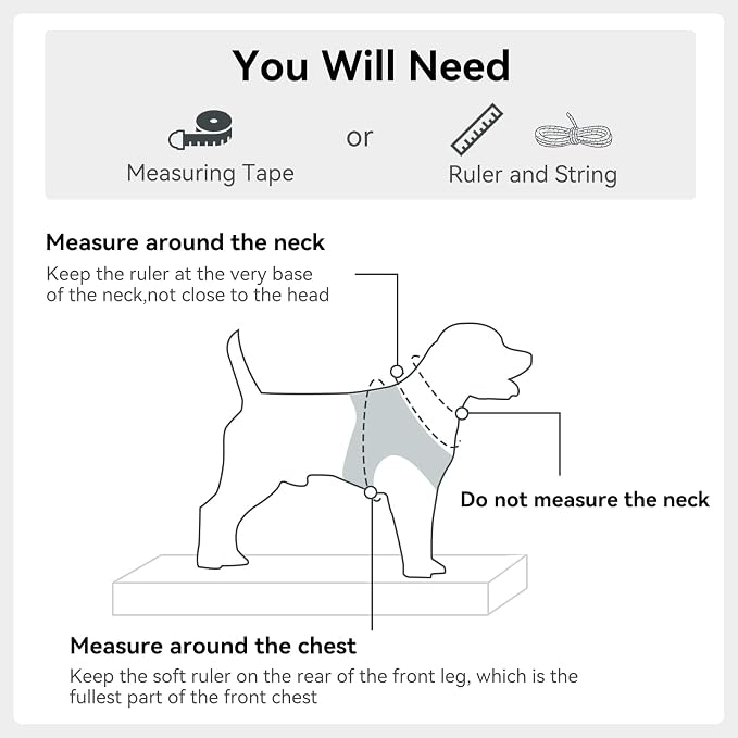 Joytale Step-in Dog Harness, Soft Breathable Mesh, Gray XS | Adjustable Fit for Small Dogs, Easy Step-in with Secure Fastener, Even Chest Pressure, Reflective For Night Safety, Washable - Image 7