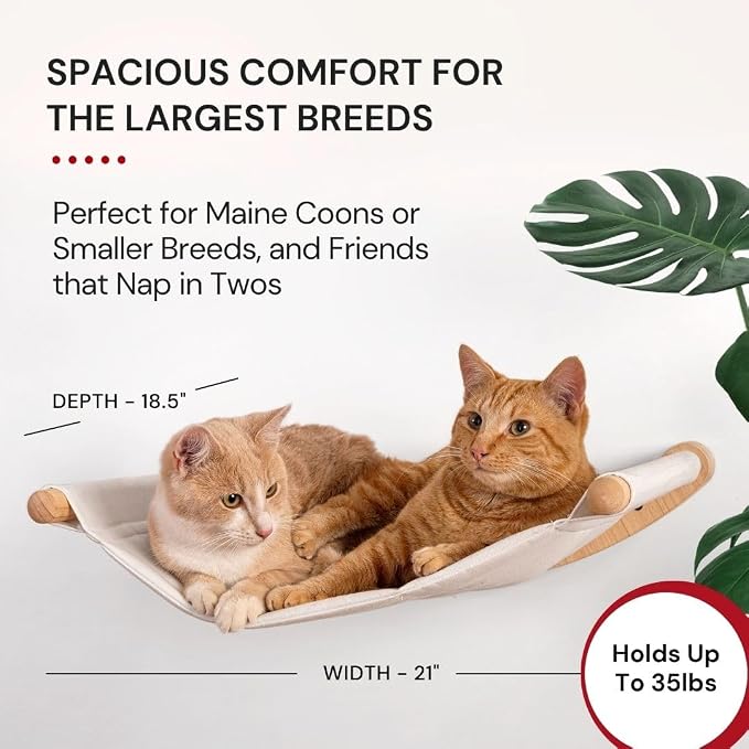 Cat Wall Hammock for Large Cats, Cat Wall Bed | A space-saving wall mounted cat bed with a washable, replaceable cushion that holds big cats up to 35 lbs - Image 3