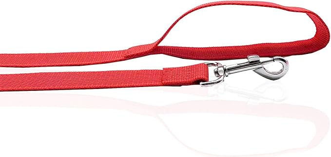 Nylon Dog Leash 4 Ft 5 Feet 6 Foot Long, Walking Training Dog Leashes for Medium Large Dogs, 1 Inch Wide (3/4" X 6 ft, Red) - Image 4