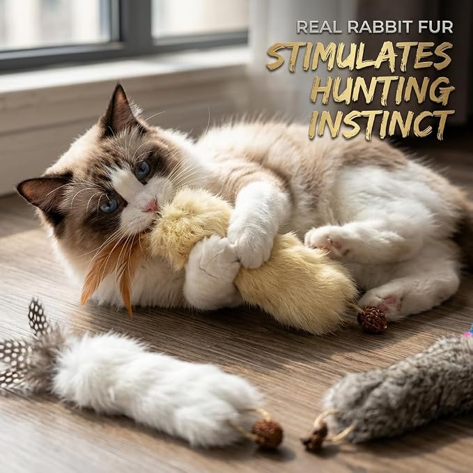 Cat Toy Rabbit Fur Feather 3pcs Gall Fruit Treat Kitten Kick Indoor | Kitten Teething Toy with Crinkle Paper, Rabbit Feathers Hunting Play, Catnip Gall Fruit Stress Relief, Kick Chew Interactive - Image 6