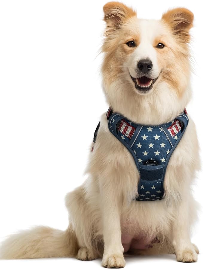 rabbitgoo Dog Harness, No Pull Medium Sized with 2 Leash Clips, Pet Vest | No Choke with Handle, Adjustable Soft Padded, Reflective, Easy Control for Walking, Blue Star, Medium by rabbitgoo