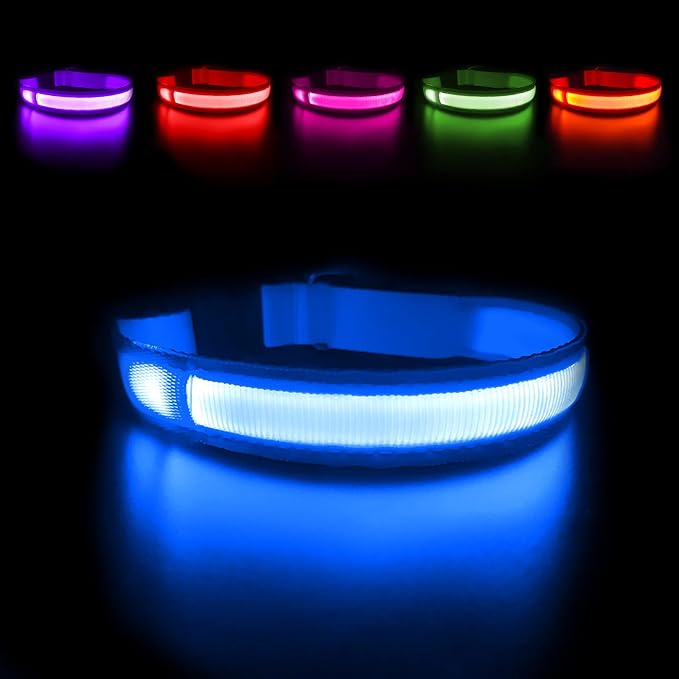 MASBRILL Light Up DogCollars-Rechargeable LED Dog Collar-Waterproof Night Walking Glowing Dog Collar for Small Medium Large Dogs by MASBRILL