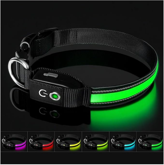 Auto Light Up Dog Collar - Smart Safety Night Collar with Motion Sensor - Auto-On in Dark - USB-C Rechargeable - 3 Day Runtime- IP65 Waterproof (M 15-20“) by MIMMU
