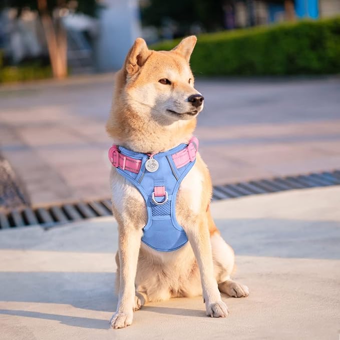 No Pull Dog Harness, Unique Colors Reflective Adjustable Dog Vest | with Soft Training Handle Metal Clips for Small Medium Large Dogs (Baby Blue Base & Pink Straps,XL) - Image 3