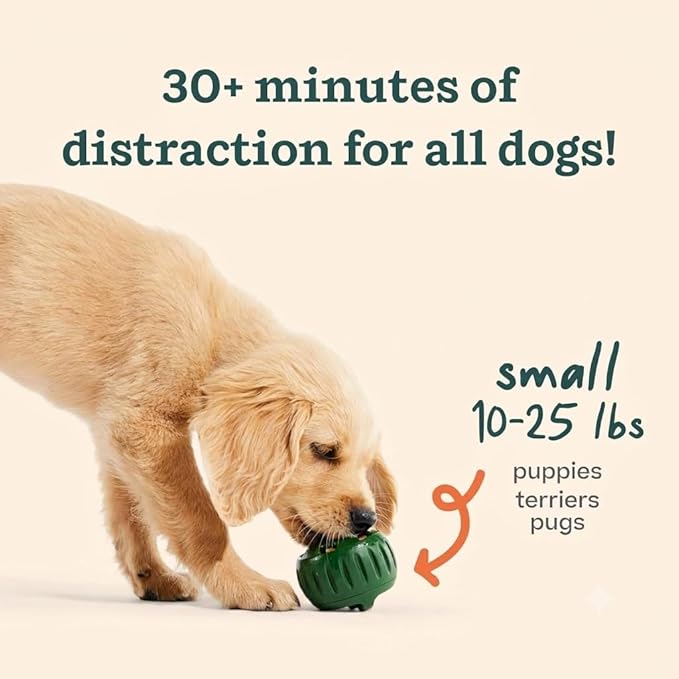WOOF Starter Pack Dog Treat Toy for Small Dogs 10-25 lbs | Long-lasting enrichment kit, Pupsicle toy included, reusable treat mold, chicken Pops, DIY frozen treats - Image 4