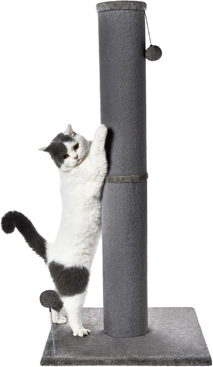 Cat Craft 41" Tall Short Plush Cat Scratching Post for Indoor Cats, Gray | Short Plush Fabric, Stable Wide Base, Replaceable Hanging Ball, Full Stretch Design by CatCraft