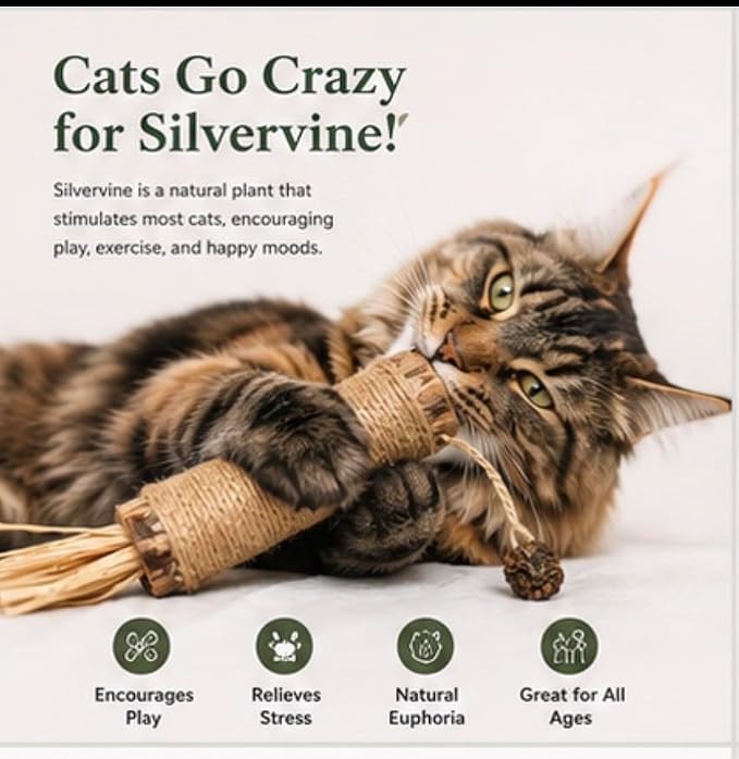 Extra Large Silvervine Sticks for Cats 2 Pack, Natural Cat Chew Toys with Sisal Rope & Feathers, Silver Vine Catnip Alternative for Indoor Cats & Kittens - Image 2