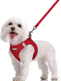 rabbitgoo Dog Harness Small Sized and Leash Set, Step-in Puppy Pet Vest | Light, Soft, Breathable Air Mesh, Easy on and Remove with Hook & Loop, Secure Reflective for Walking, Red M by rabbitgoo