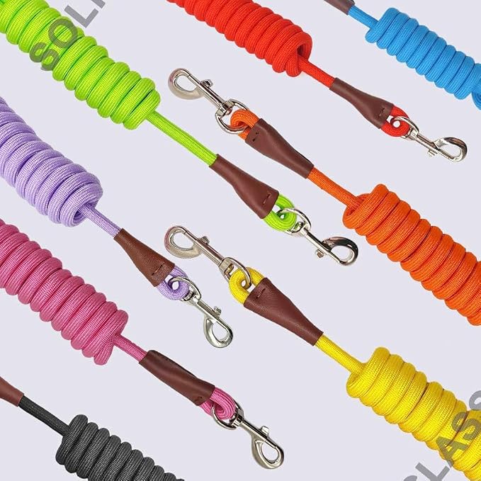 MayPaw 4/6 /8/10 FT Dog Leash, Classic Solid Colors, Strong Nylon Rope Dog Leash Reinforced with Leather Tailor Connection Heavy Duty Silver Clasp (Orange, 6ft*1/2") - Image 5