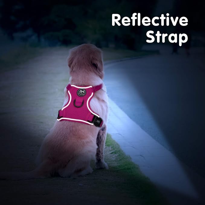 PoyPet Mesh Dog Harness, Reflective Breathable Puppy Vest for Large Dogs | Lightweight, Soft Air Mesh, Back D-ring, Adjustable, Comfortable, Double Padded, No Choke, for Daily Walking, L, Fuchsia - Image 4