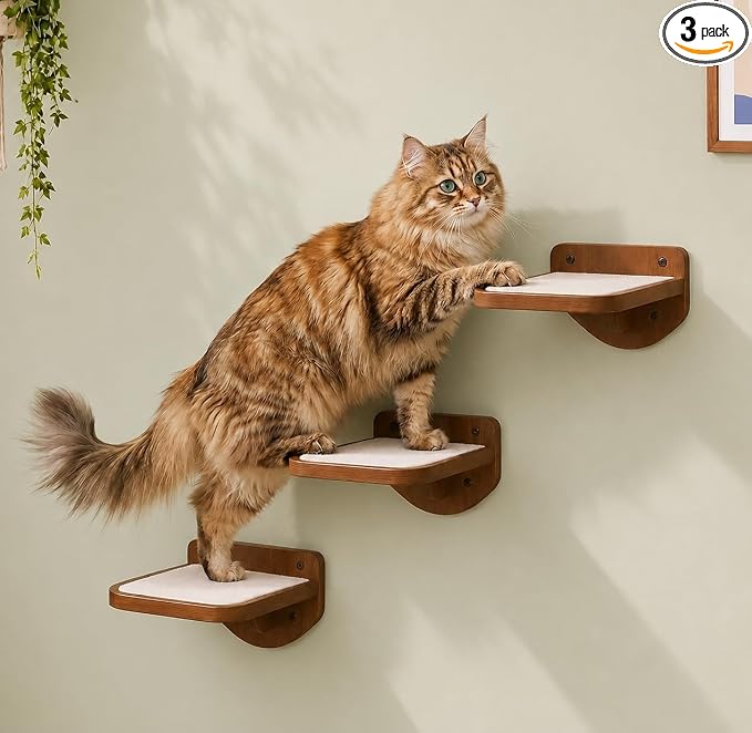 Cat Wall Shelves, Walnut Floating Cat Steps Set of 3 by LAMOOSHIK