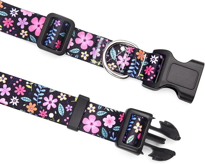 Mihqy Dog Collar and Leash Set, for Medium Dogs, Floral Set,M | with Floral Patterns, Adjustable for Small Medium Large Dogs, Comfortable for Walks and Outdoor Hikes - Image 2