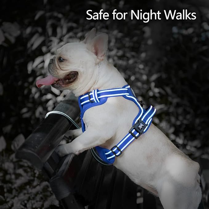 PoyPet No Pull Dog Harness, Reflective Vest with 2 Leash Clips & Handle | Lockable Neck Release Buckle, No Choke, Adjustable, Soft Padded, for Walking Training, Royal Blue, Large - Image 5