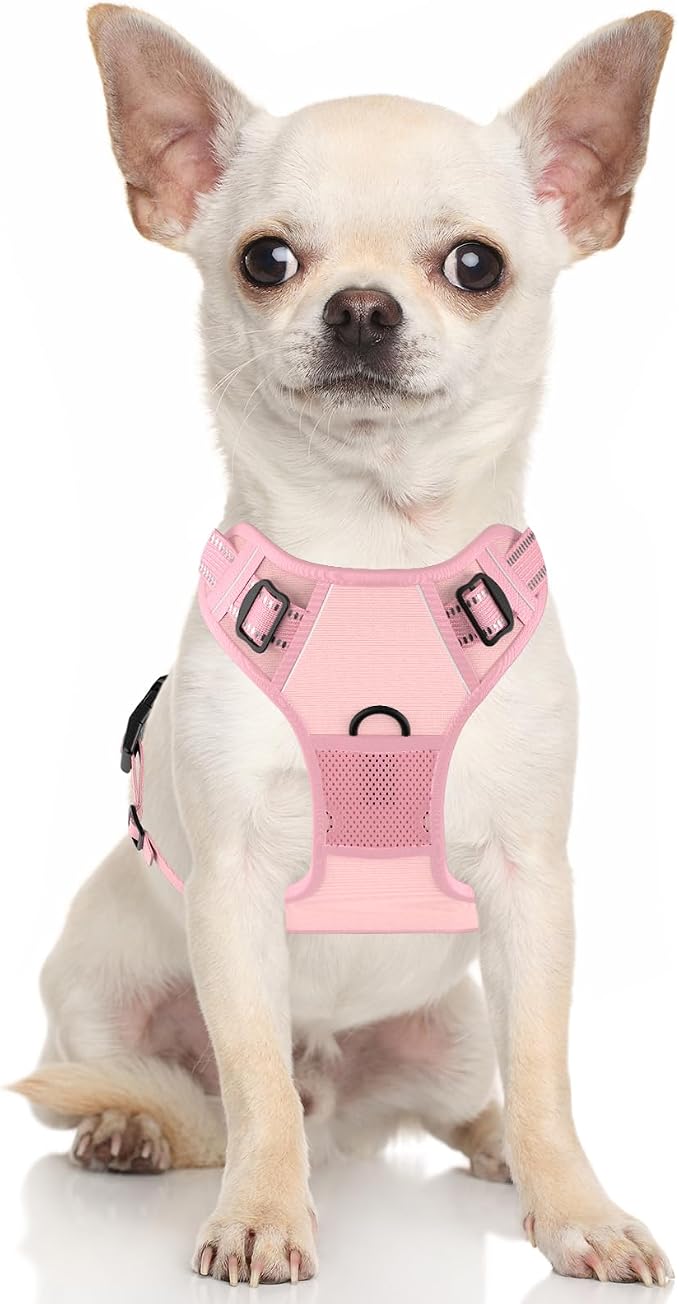 Rnivvi No Pull Dog Harness, Cute Reflective Small Sized Puppy Kitten Harness, Adjustable Soft Padded Vest for Small Dogs, Cats, Heavy Duty Pet Vest with Easy Control Handle for Walking, Pink - Image 2