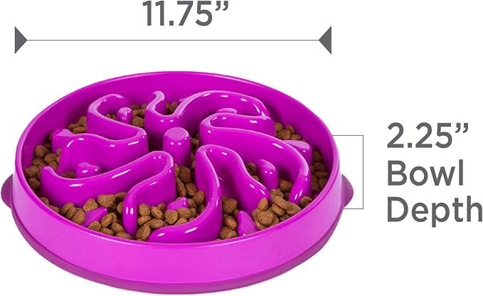 Outward Hound Fun Feeder Slo Bowl – Large 4‑Cup Capacity, Slow Feeding, Medium to Large Dogs, Non‑Slip, Purple, Flower Pattern | Slows Fast Eaters, Can Aid Digestion, Holds 4 Cups Dry or Wet Food, Non-Slip Base, Easy Clean, No BPA, Medium to Large Dogs - Image 7