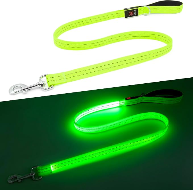 LED Dog Leash, 4 Ft Light Up Dog Leash USB Rechargeable Waterproof, Nylon Reflective Leashes with Padded Handle, Safety Glow in The Dark Pet Lights for Large Medium Small Pet(Green) by Kpuplol