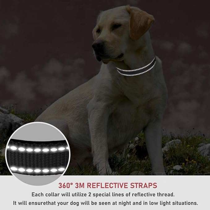 Reflective Dog Collar, Puppy Collar with Buckle Adjustable, Black XXS | Breathable Nylon Collars for Small Medium Large Dogs, No Chafing on Walks and Outdoor Hikes, Metal D-Ring, Night Safety - Image 4