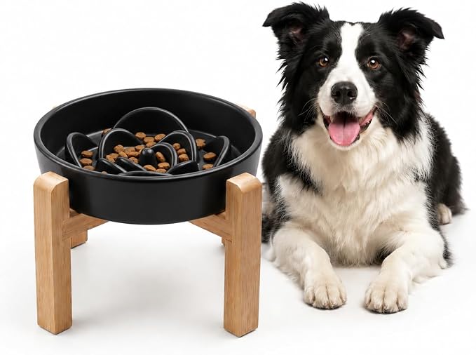 Elevated Ceramic Slow Feeder Dog Bowls Anti-Choking Slow Feeding for Medium& Large Anti-Slip Non-Lead & Toxic Durable Easy to Clean Maze Slow Feeder Bowl（8.66in Black Flower Pattern） by addggo