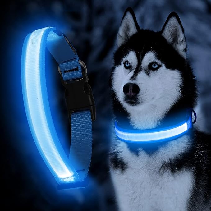 LED Dog Collar, Dog Light Up Collar,for Night Walking (Blue, Medium) | Adjustable,Waterproof,Nylon,Soft,Super Bright Light Collars for Small Medium and Large Dogs,USB C to Charge - Image 2