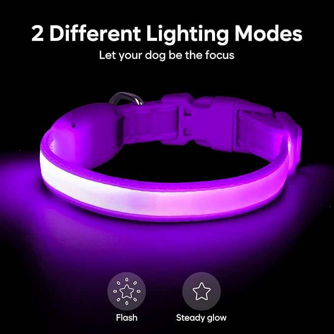 Light up Collar for Small Dog,Vizpet XS Led Adjustable Small Size Collar | USB Rechargeable Bright Safety Pet Nylon Collar for Cats Small Dogs (Purple) - Image 3
