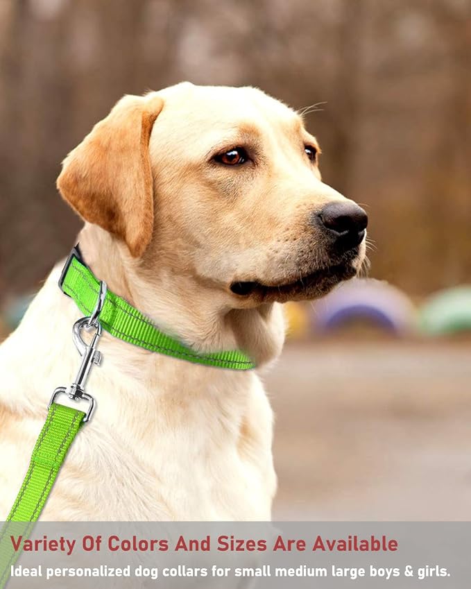Reflective Dog Collar with Buckle Adjustable Safety Nylon Collars for Small Medium Large Dogs, Grass Green S | Breathable, No Chafing on Walks and Outdoor Hikes, Metal D-Ring, Night Safety - Image 7