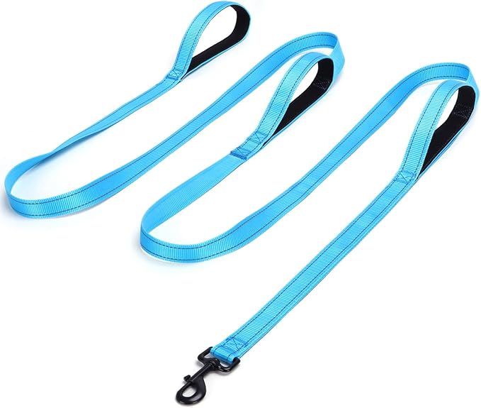 3 Handle Dog Leash 10FT Triple Handle Reflective Large Medium Dog | Multi Handles Heavy Duty Training Lead with Padded Traffic Handles for Control and Safety- Teal by Mycicy