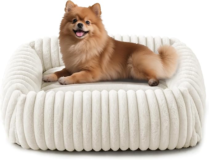 FURTIME Dog Bed for Small Medium Dog, Washable Orthopedic Pet Bed with Removable Cover, Rectangle Soft Calming Sleeping Puppy Bed Durable Pet Cuddler with Anti-Slip Bottom, Cream, M (25"x21"x7") by FURTIME
