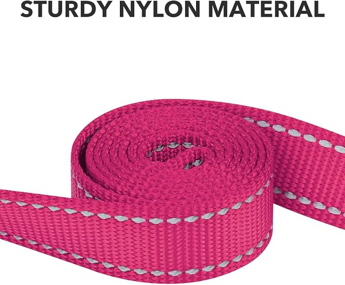 Taglory Reflective Dog Leash for Medium Large Dogs, 1in x 5ft, Hot Pink | Ideal for Night Walking, Strong for Sudden Pulls, Lightweight & Gentle on the Neck, Soft Padded Handle - Image 3