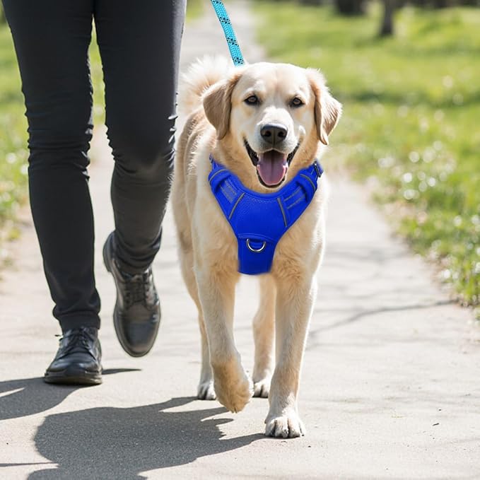 BARKBAY No Pull Dog Harness Large Reflective Dog Harness with Front Clip and Easy Control Handle for Walking Training Running with ID tag Pocket(Sapphire Blue,M) - Image 9