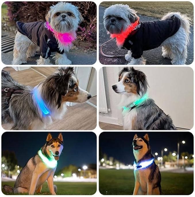 PAJ Light LED Dog Collar for Medium & Large Dogs | USB Rechargeable - Waterproof - 7 Light Colors - Flash Mode - Cut-to-Fit Length - Image 3